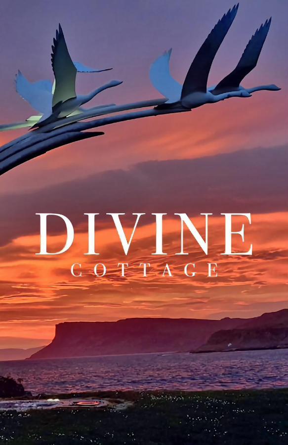 Divine Cottage バリーキャッスル エクステリア 写真