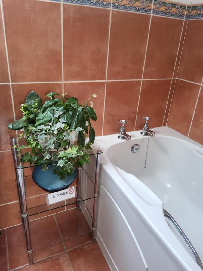 Divine Cottage バリーキャッスル エクステリア 写真